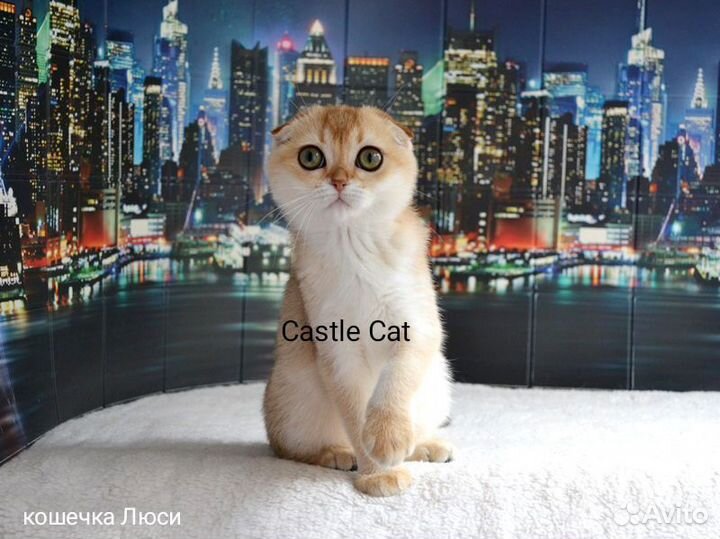 Очаровательные детки