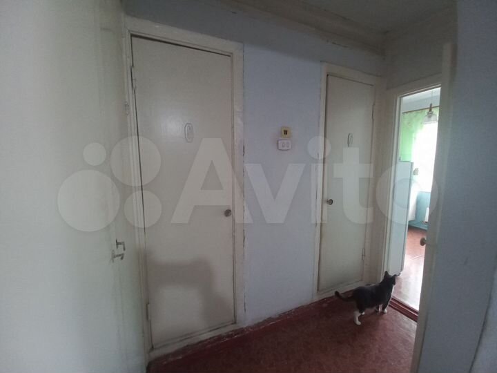 2-к. квартира, 53,6 м², 8/9 эт.