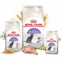 Корм для кошек роялканин Royal Canin sterilised 37