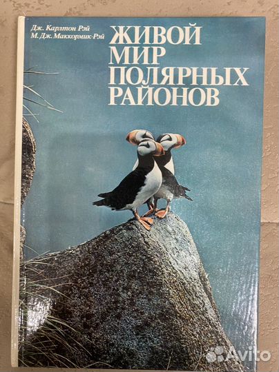 Познавательные книги для детей