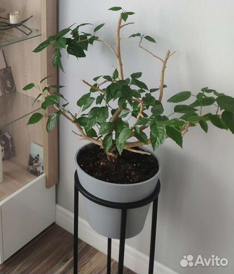 Пластиковый цветочный горшок 10 л под бетон