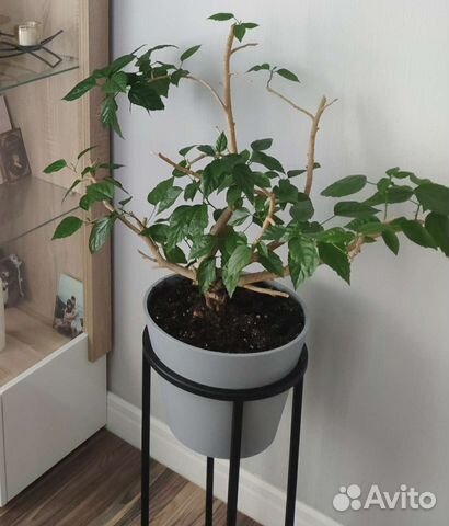 Пластиковый цветочный горшок 10 л под бетон