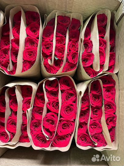 Роза оптом. Букет из любого количества роз