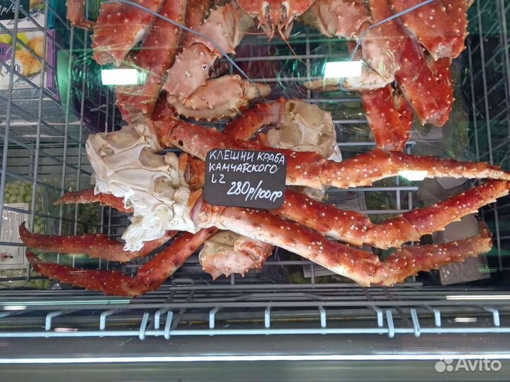 Камчатский краб фаланга