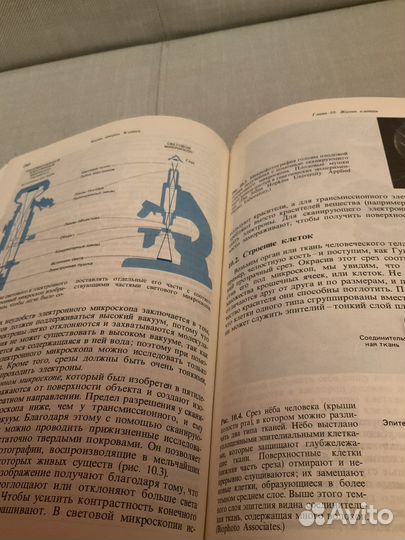 Введение в биологию ; П.Кемп, К.Армс; 1988 год