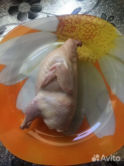 Мясо и яйцо перепелов