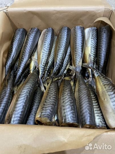 Скумбрия холодного копчения