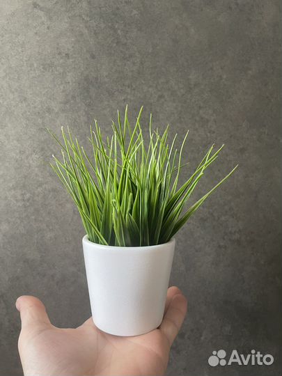 Искусственные растения для декора