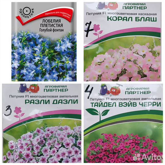 Черенки петунии и лобелии