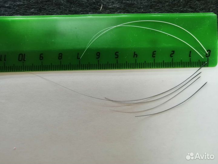 Усы кота белые и черные