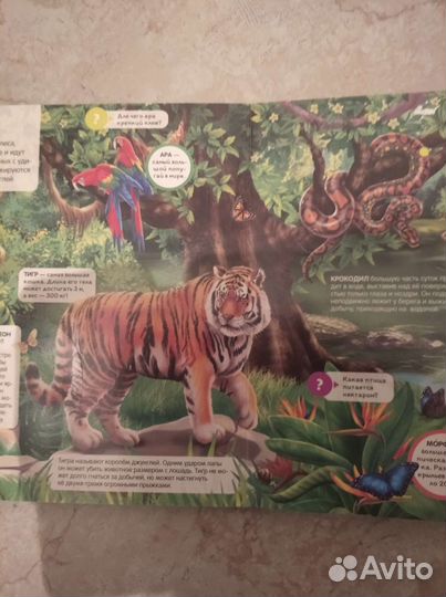 Энциклопедия открытий 