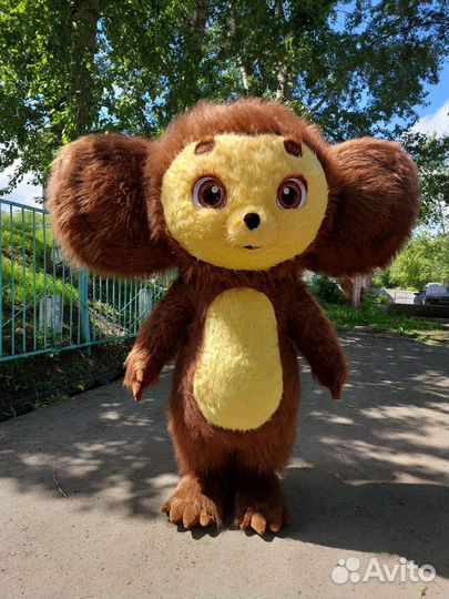 Чебурашка поздравление/ аниматор/ праздники