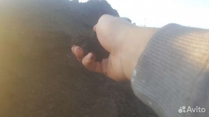 Чернозем деревенский