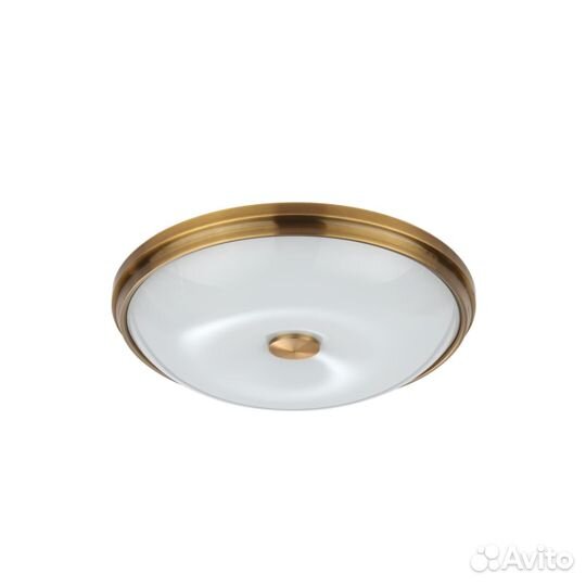 Odeon light 4956/4 pelow потолочный светильник