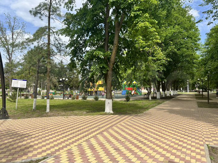 Общепит, 170 м²