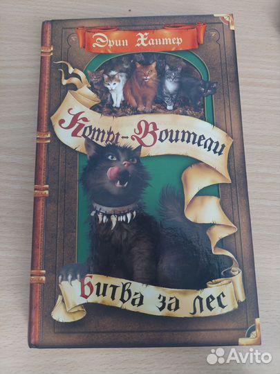 Коты воители битва за лес