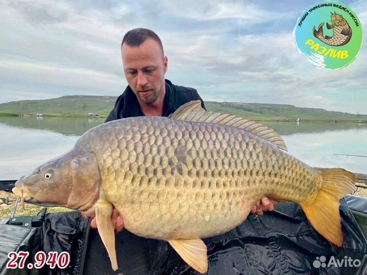 Трофейная рыбалка и комфортный отдых