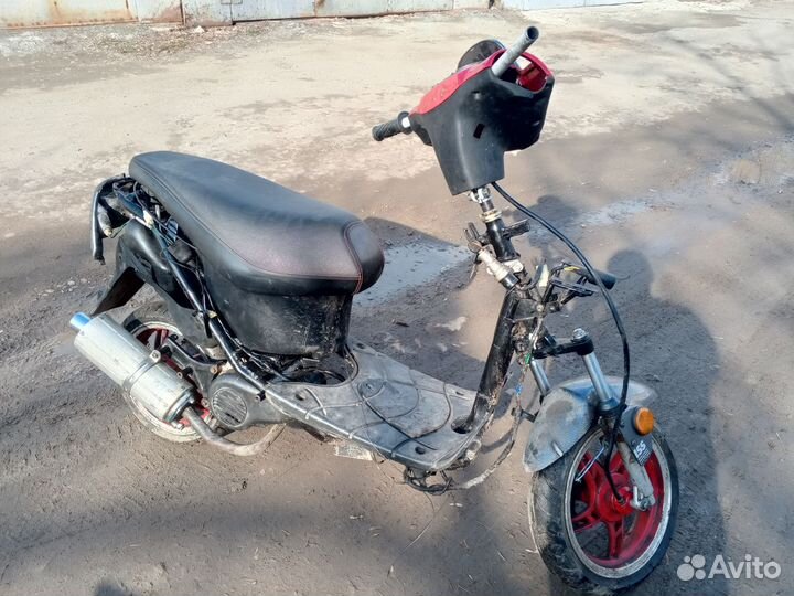 Stels skif