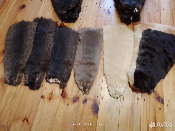 Шкуры нутрий
