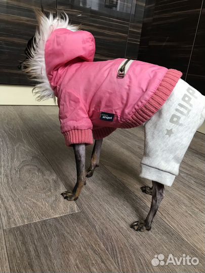 Одежда для собак puppy angel 24см