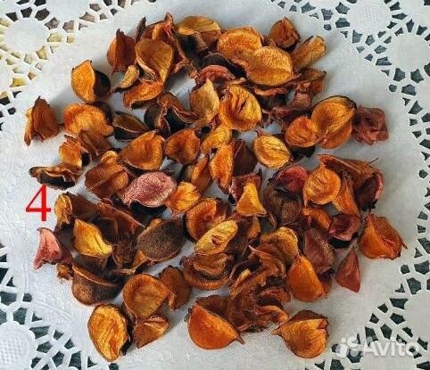 Натуральные сухоцветы