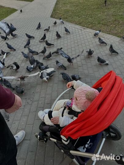 Коляска bugaboo cameleon 3