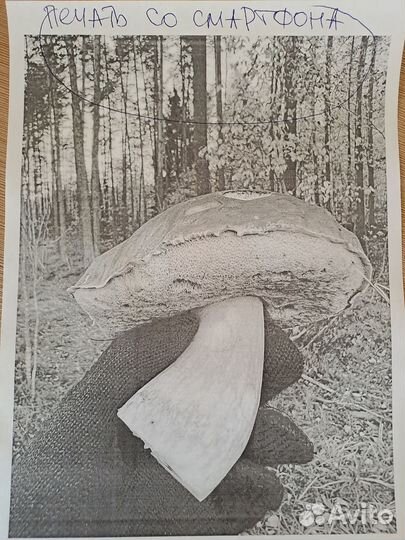 Мфу kyocera FS-1130MFP сетевой WI-FI, автодвусторо