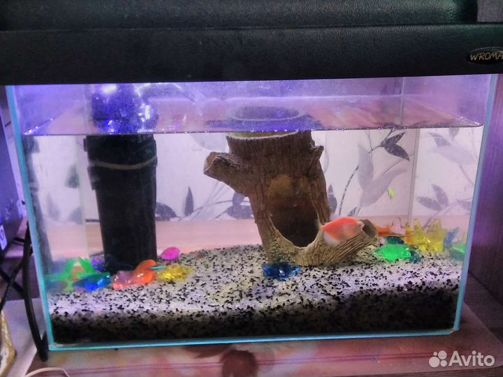 Аквариум с рыбками