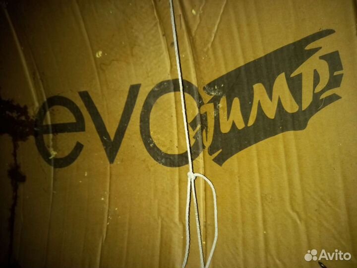 Батут EVO jump 10ft максимальная комплектация