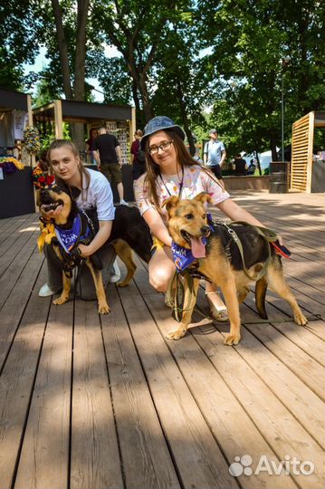 4 малыша из приюта мечтают о доме