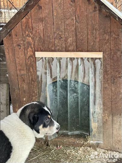 Пвх тепловая завеса для собачьей будки