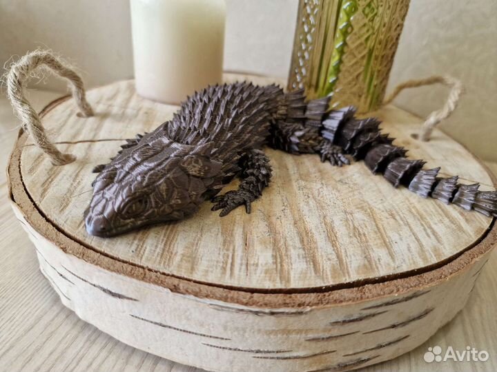 Ящерица - броненосец. Ящерица - дракон