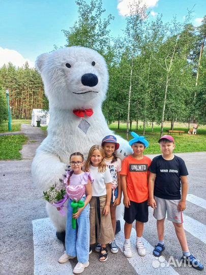 Поздравление от белого мишки. Медведь Умка