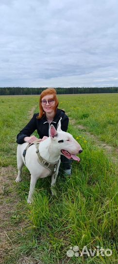 Кинолог - зоопсихолог с выездом