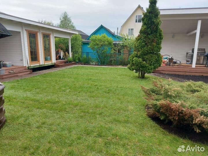 Рулонный газон