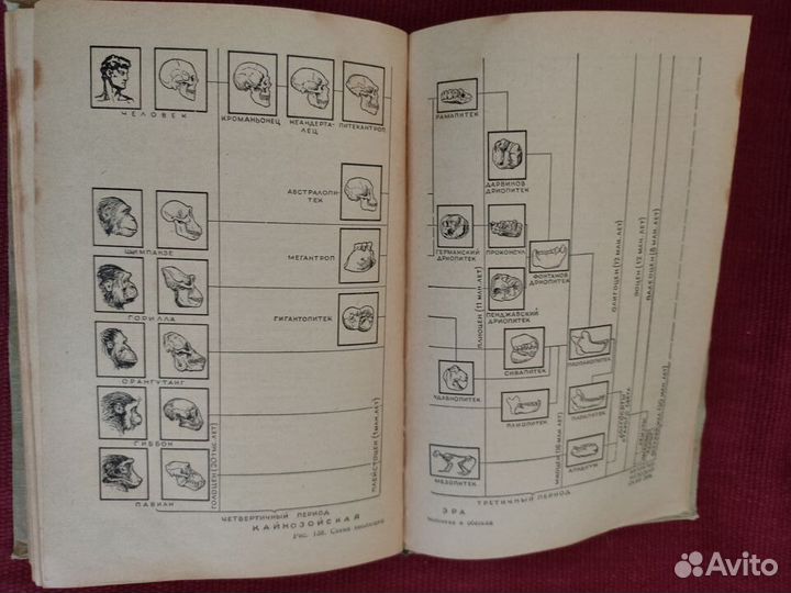Общая биология. Пособие для учителя