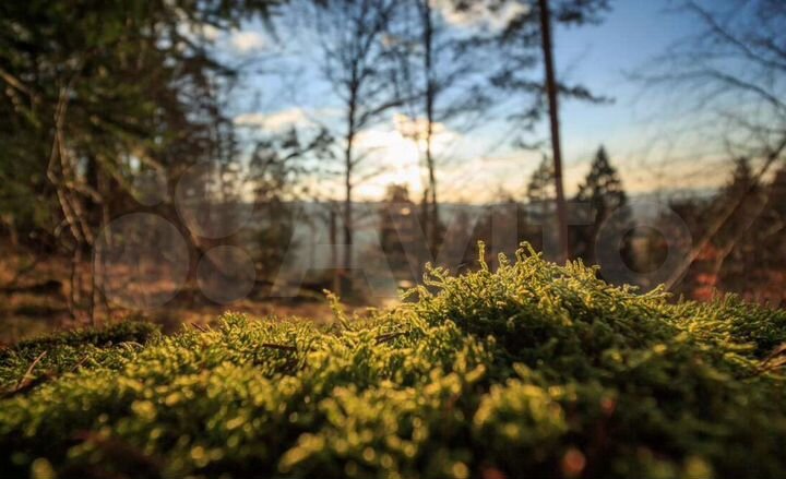 Участок 15 сот. (ИЖС)