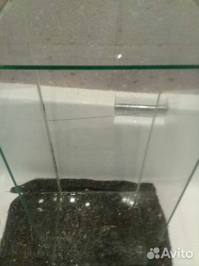 Аквариум или террариум