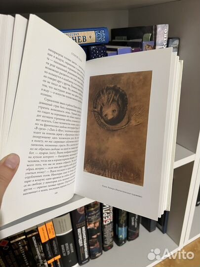 «Открой глаза» Джулиан Барнс