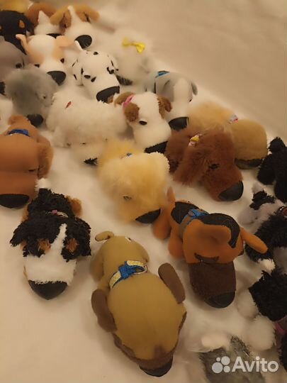 Коллекция собак и журналы в подарок