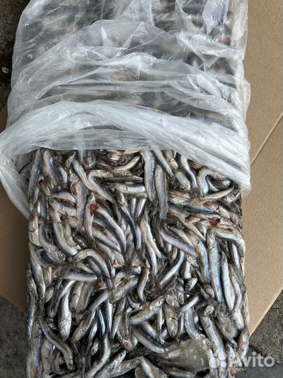 Корм животным Комбикорм