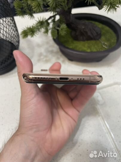 iPhone Xs, 256 ГБ