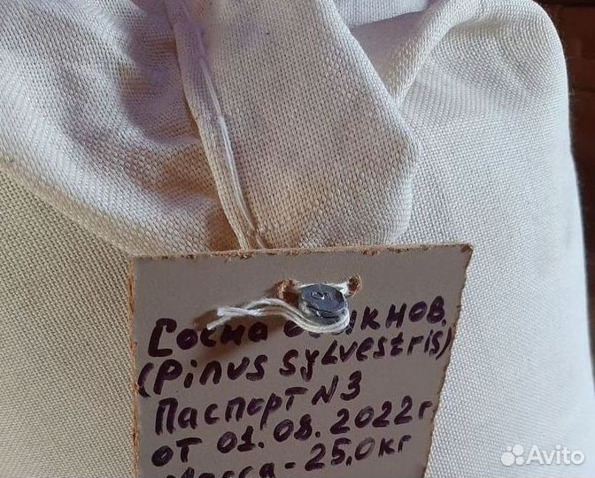 Доставка семян ели