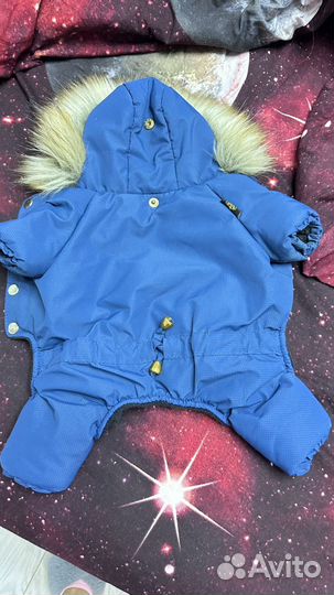 Костюм для собаки, переноска