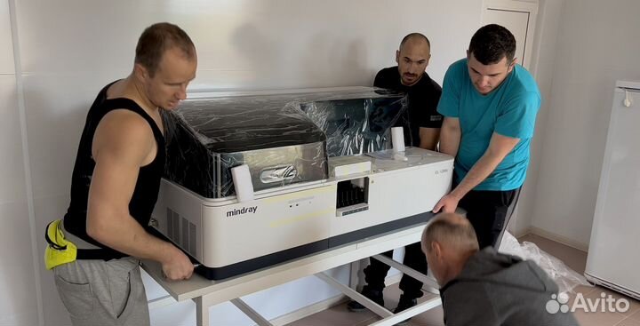 Грузчики Грузоперевозки Разнорабочие