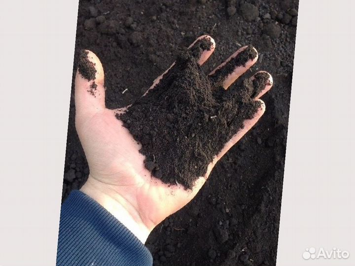 Чернозем с доставкой