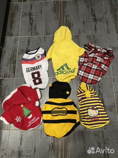 Одежда для собак кошек