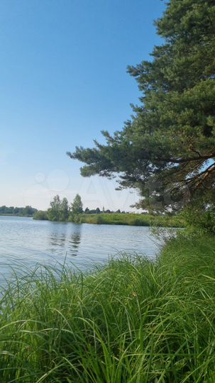 Участок 15 сот. (ИЖС)