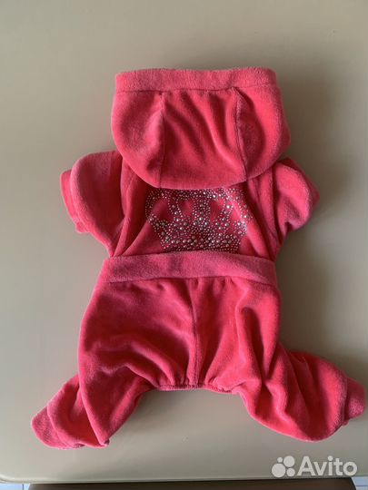 Одежда для собак и кошек