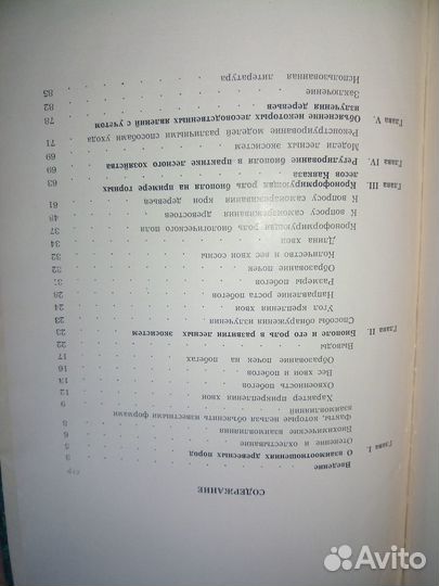 Биополе лесных экосистем. Марченко И. С